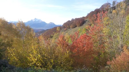 Couleurs d’automne et Obiou, d’entrée !