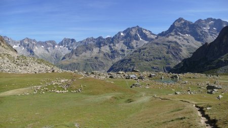 Et bien sûr ... des moutons ; mais le berger était auprès d’eux.