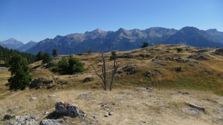 Du Mont Chaberton (tout à gauche) à la Crête du Peyron (tout à droite) en passant par le Pic de Peyre Eyraute (dans l’axe des arbres morts).