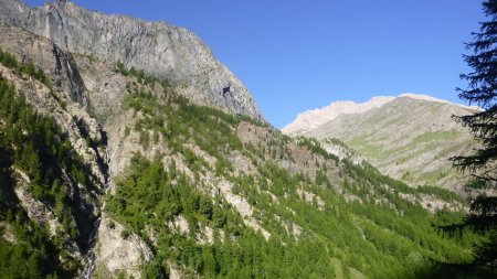 Arête Est de la Taillante (à droite)