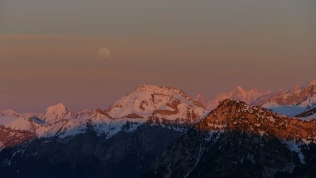 Dommage ... le lever de lune s’est fait derrière un voile un peu épais.