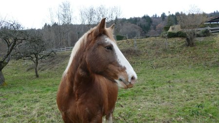 Autre rencontre.