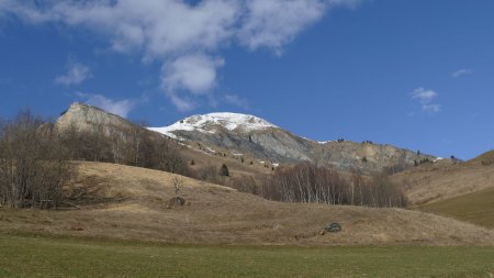 Champêtre.