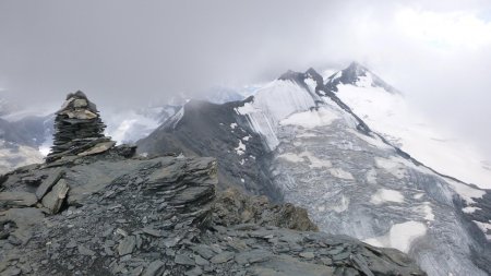 Au sommet de la Pointe de Nant Cruet (3605m)