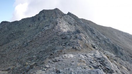 Prendre cette arête, à gauche du col du Loup, pour gravir le cime Pienasea