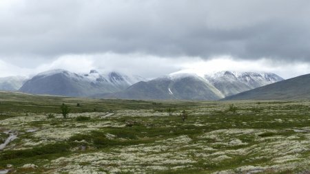 Regard vers les hauts sommets enneigés.