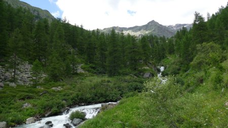 On chemine le long du Torrent du Lys.