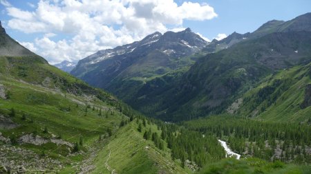 Vue arrière sur le sentier N°7.