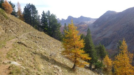 Le sentier du retour