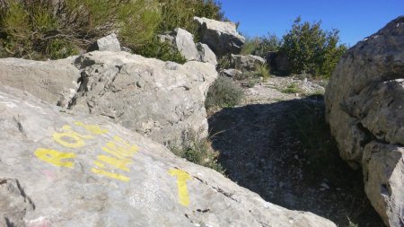 Montée finale en face sud