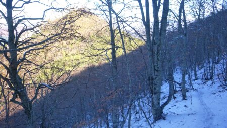 Descente vers le col de St-Pierre avec le pic de St-Cyr que les arbres n’arrivent pas à cacher.