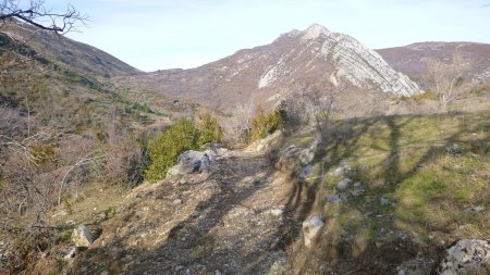 Vue arrière sur la Sapée (1683m)