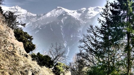 Splendide ! photo un peu modifiée, vous l’aurez deviné