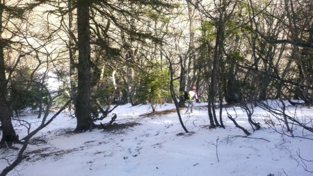 Descente de la crête nord du Puy