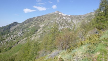 Vue sur le Palastre