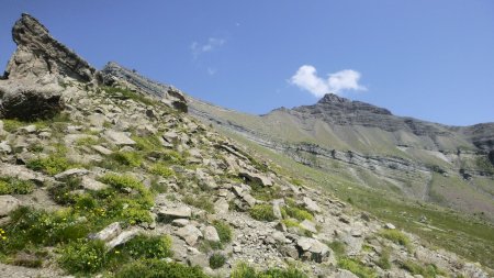 Sous la pointe Nord de la Vénasque...