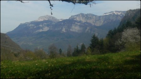 Regard sur la Grande Sure et le Rocher du Lorzier.