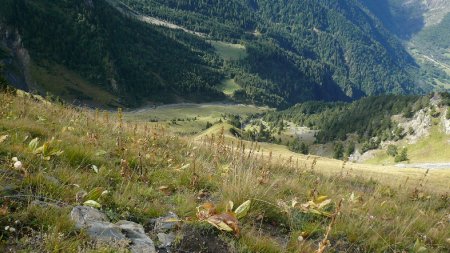 De Beauregard, à nos pieds, la Combe des Drayes.