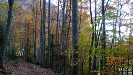 Quelques couleurs d’automne, pour le contraste.