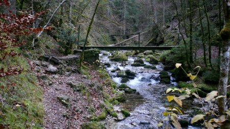 Passerelle sur le Bruyant.