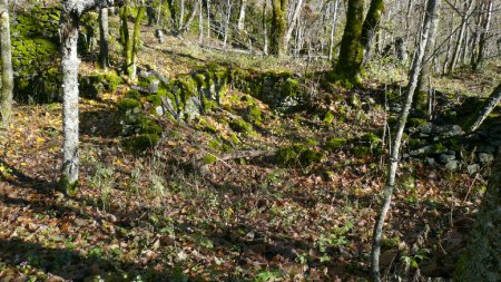 Ruines de Mirebel.