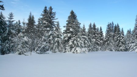 Sur l’itinéraire enneigé.