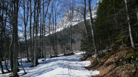 Proche du Grand Clos. Itinéraire.