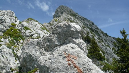 Sur l’Arête Sud.