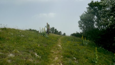  Signal de Nave.