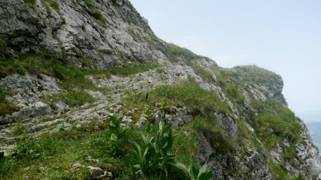  Vire du Pas de la Clé. Regard arrière.