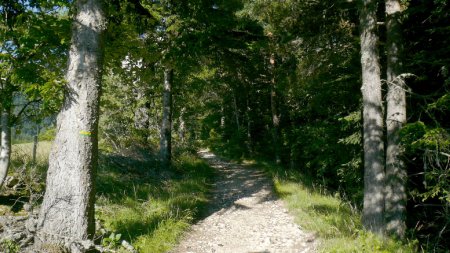 Chemin vers le Ravin de Farnaud.