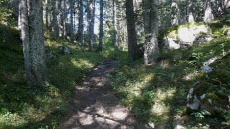 Dans le Canyon des Erges.