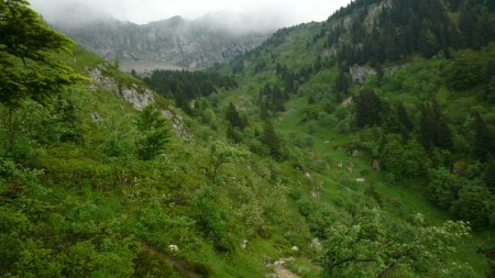 Sentier Gobert.  La Combe Chaulange, voyez-vous la Grotte de l’Ours ?