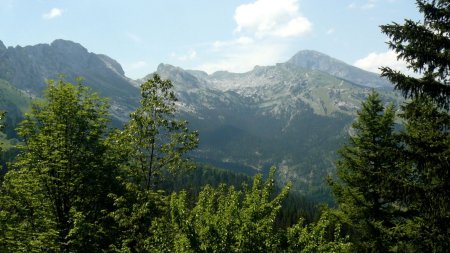 La Grande Moucherolle du Sentier Gobert.