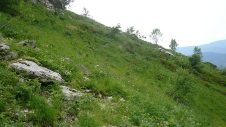 Combe de Pissavache. Au-dessus de la cuvette Verdoyante. Dernière montée vers l’arête, viser là sous les roches en haut à gauche.