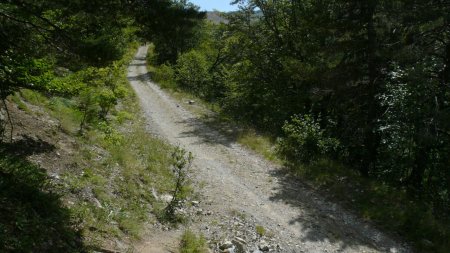 Sur le GR.965. Jonction avec la piste, on aperçoit le cairn marquant la sente de descente dans le Ravin du Cognier.