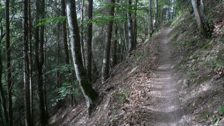 Désormais, sur un sentier très reposant.