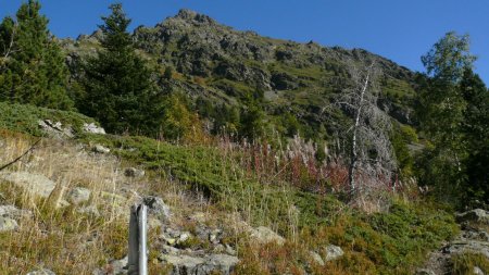 Rache au nord de la bifurcation du point IGN 1706.