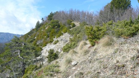 Un bout de crête. En montant Côte Chèvre.