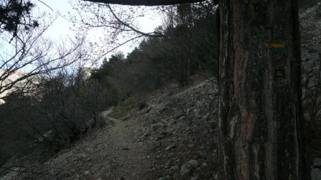 Sur le sentier du Belvédère. Balisage.