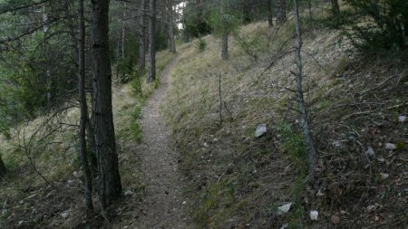 Sur le sentier du Belvédère.