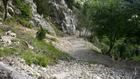 Sur le sentier du Pas de l’Aiguille. Sentier aménagé regard arrière.