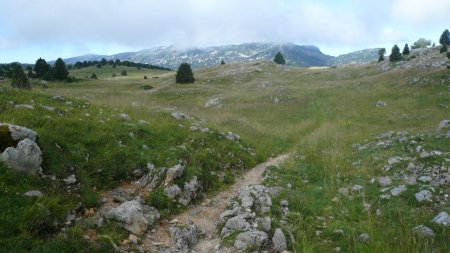 En direction de la Bergerie du Jas Neuf. Le Dôme se découvre.