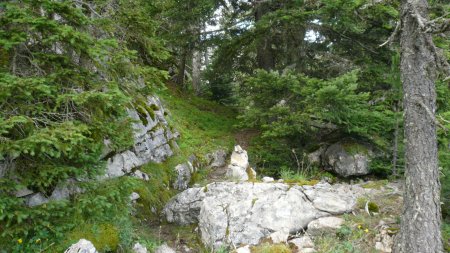 Sente sauvage et cairnée.