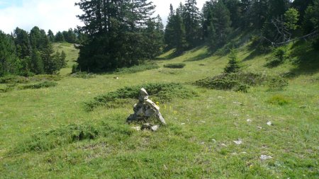 Sente sauvage et cairnée.