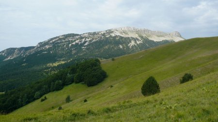 Première vision sur Ranconnet et la Montagnette, en sortant sur la crête au Pas de Praorzel point IGN 1628.