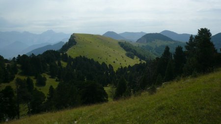 Tête de Praorzel regard arrière en partant vers les Quatre Têtes.