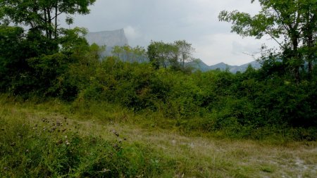 Rive gauche du Ruisseau des Arches. Le Mont Aiguille.