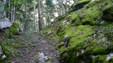 Contre la roche. Rampe ou couloir !