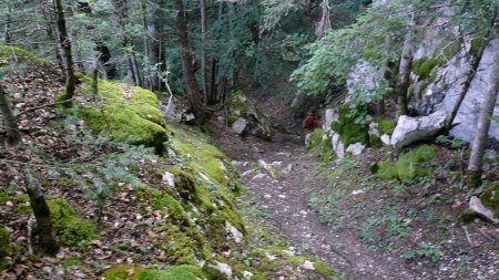 Du petit col, regard arrière sur la rampe contre la roche.